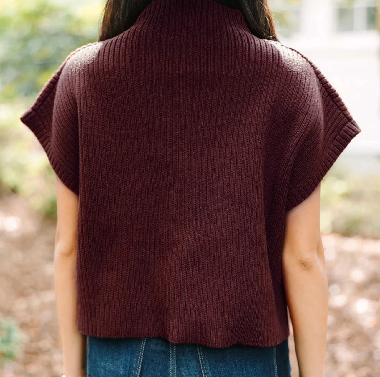 Maroon Ribbed knit Short Sleeve Sweater